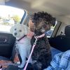 Lizzy in Camarillo 