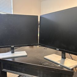 Two 24” Computer Monitors