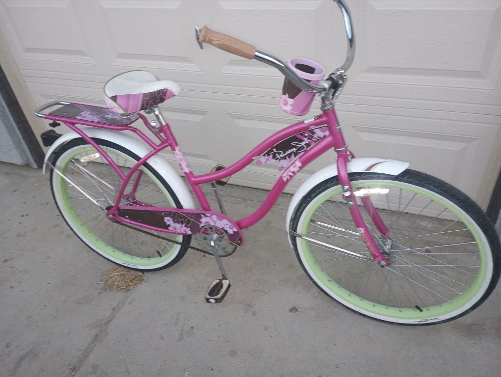 26' Beach Cruiser
