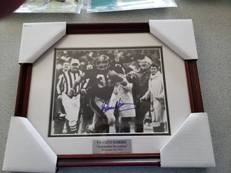Steelers Autographed Memorbila