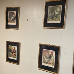 Group Of Rooster Frames Printing 