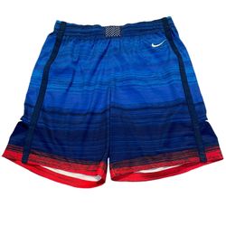 USA Tokyo Nike Men’s L Shorts NWT 