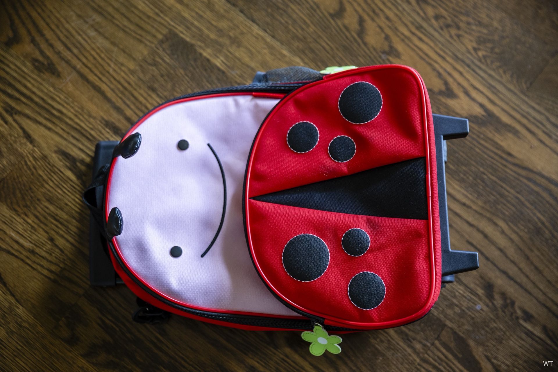 Ladybug Kid Luggage Bag