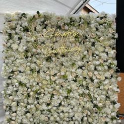 Roses Backdrop
