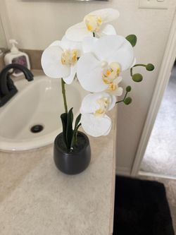 Faux White Orchid in Black Pot