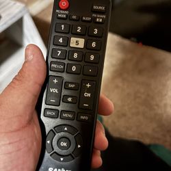 Sanyo Flat Screen  Television.