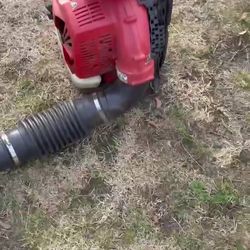 Redmax 7500.  Runs - Rad All 