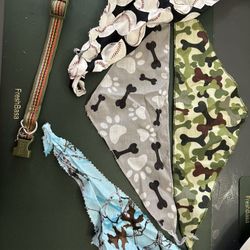 Dog Collar And Scarfs 