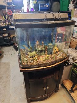 30 Gallon Fish or Reptile Tank + Accessories