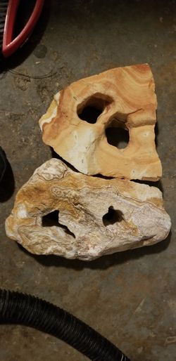 Fish rocks