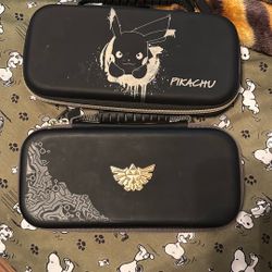 Nintendo Case 