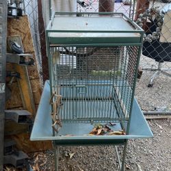 Large Bird Cage