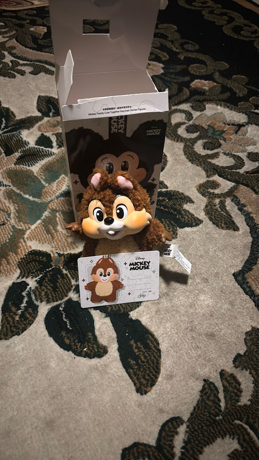 Mickey Mouse Family Together/Chip