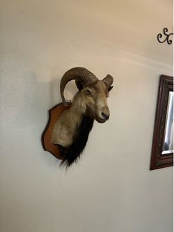 WESTERN WALL DECOR.$250…,$200