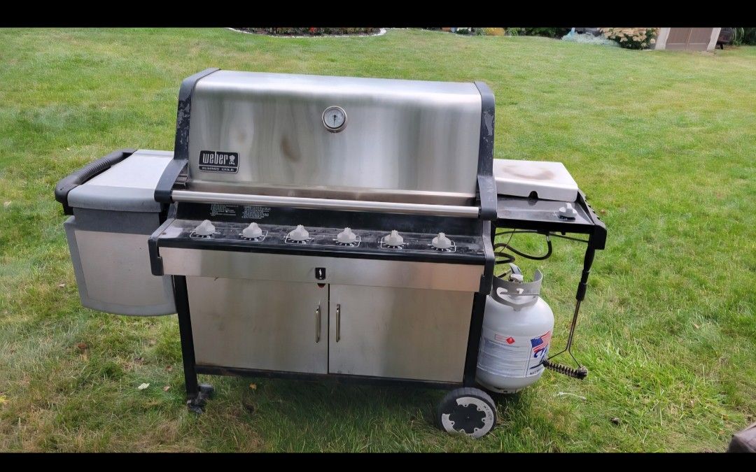 Weber Summitt Gold Gas Grill