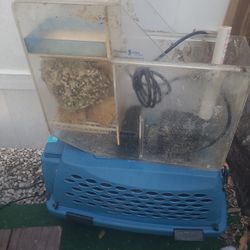 Salt Water Filter With Pump And Corals 