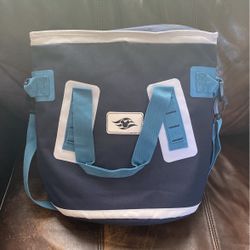 Disney Cruise Cooler Tote