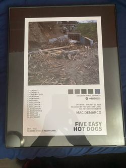 Mac DeMarco “Five Easy Hot Dogs” poster