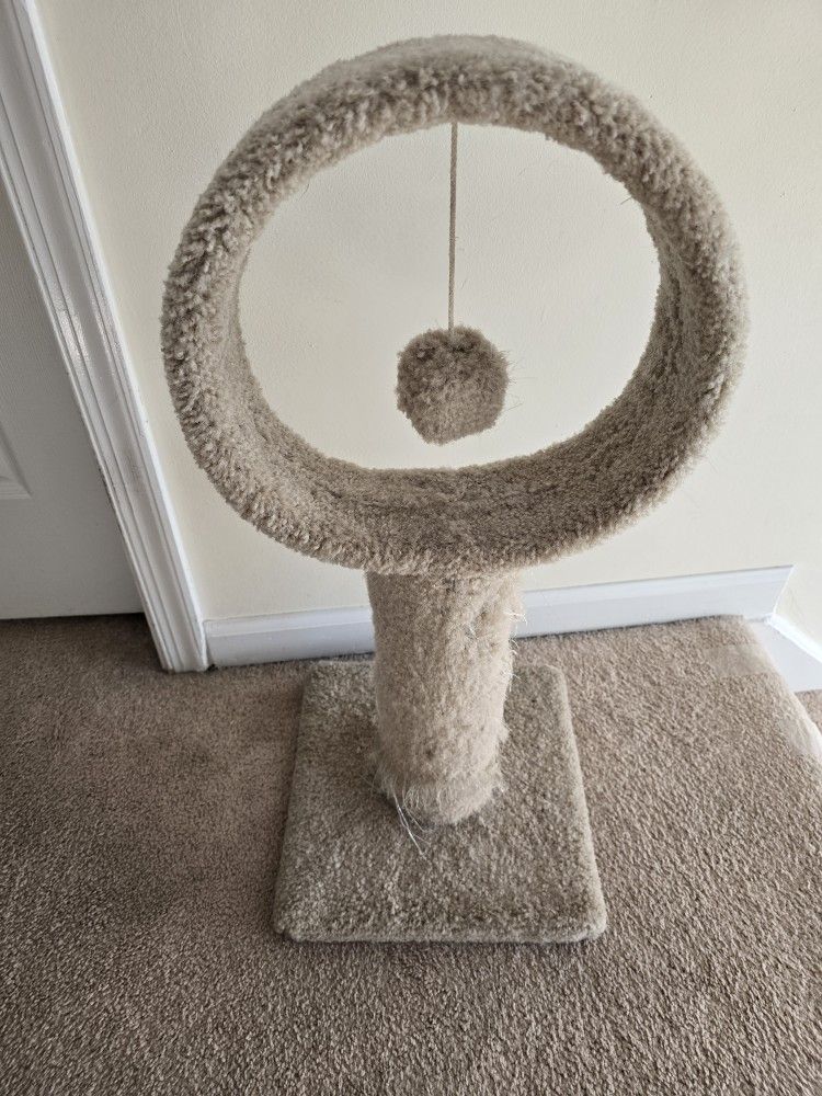 Cat Hoop
