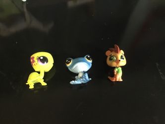 New Littlest Pet shop