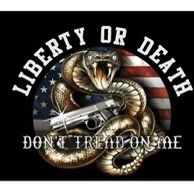 2nd Amendment Flag