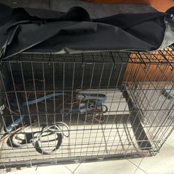 Dog House 