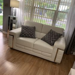 Love seat and sofa 2 pieces . 