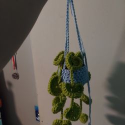 Hanging Plants