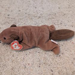 Ty Beanie Babies - Bucky