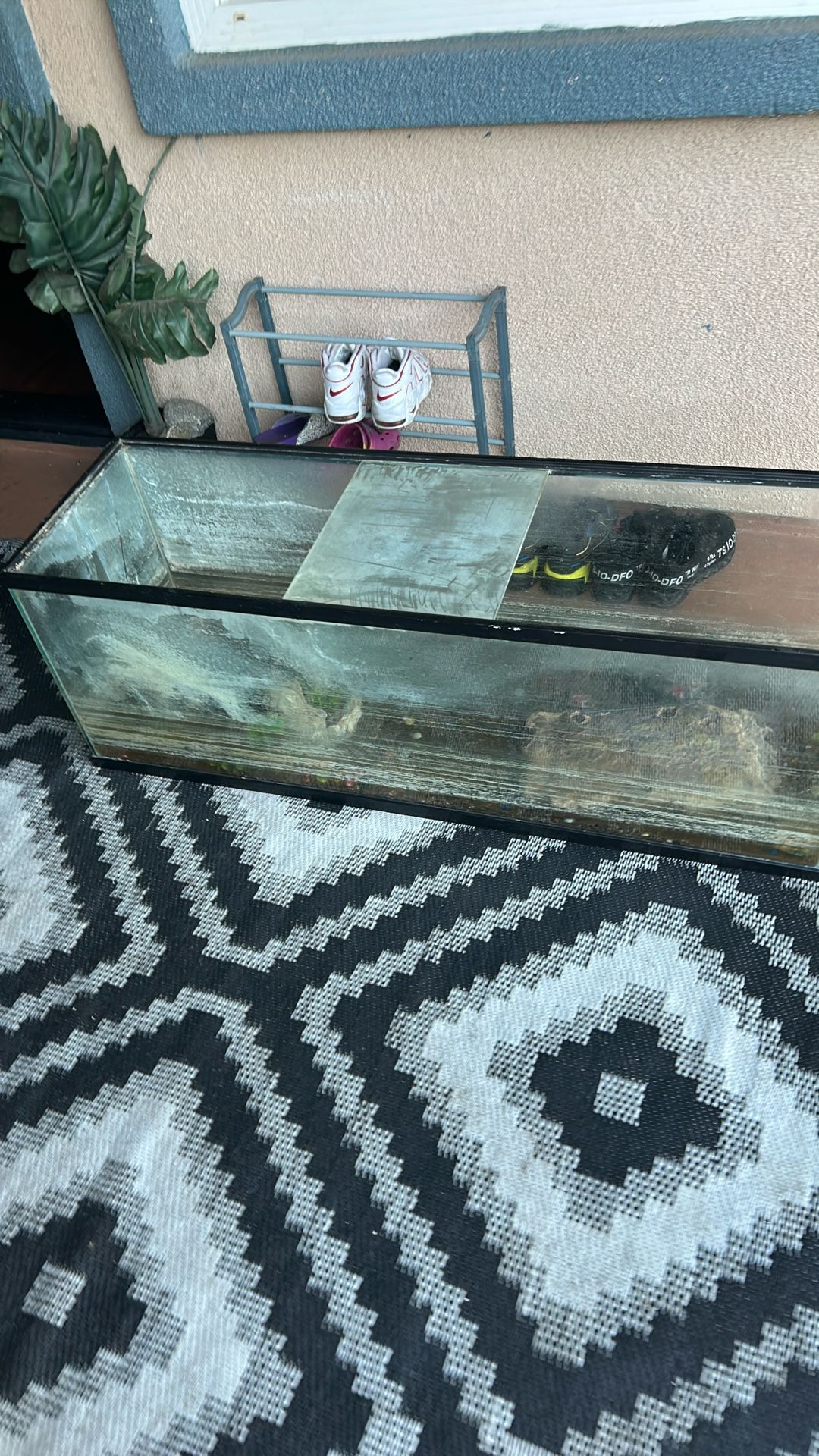 Free Tank And Turtle