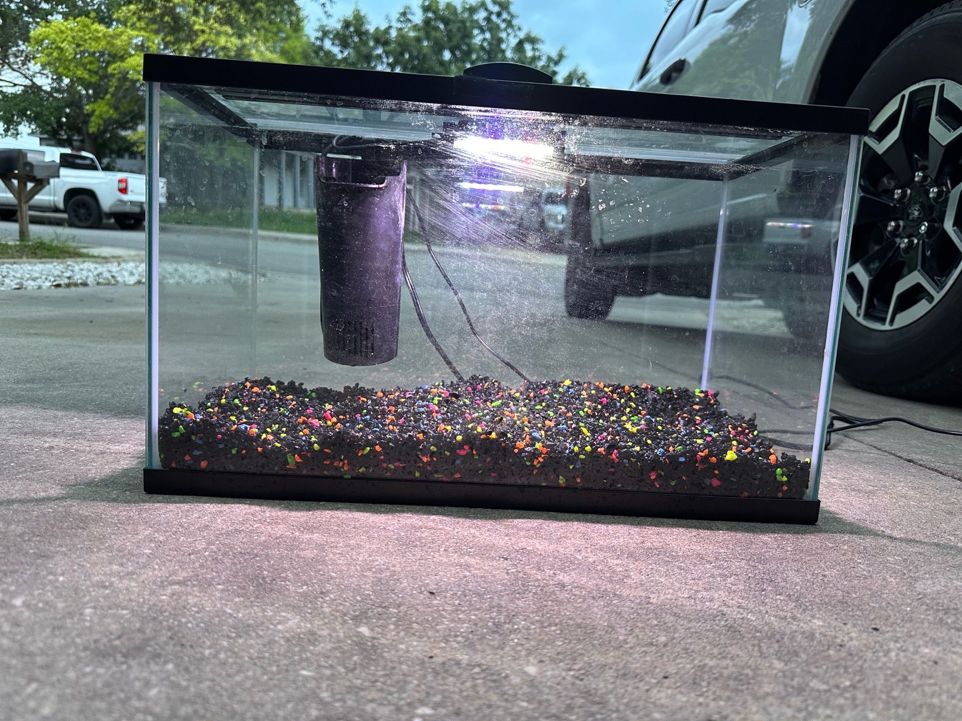 10 Gallon tank with lid light ,gravel and filter