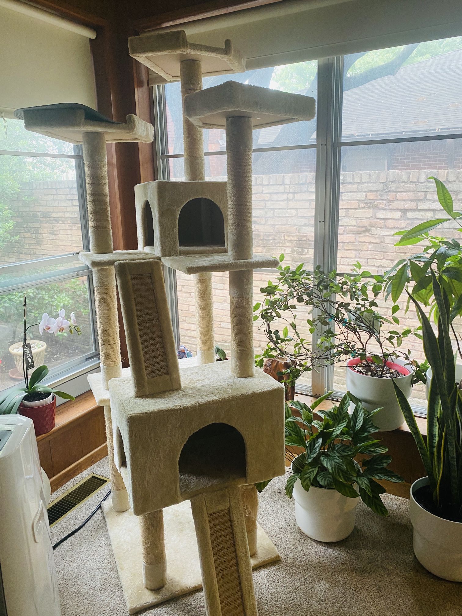 Cat Tower / Scratcher