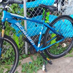 Schwinn Mountain Bike 