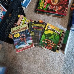 RL Stine Goosebumps Books