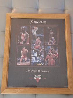 Chicago bulls picture frame 23X19 bulls 95-96