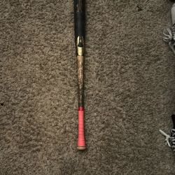 Baseball Bat