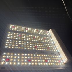 Led Grow Light 