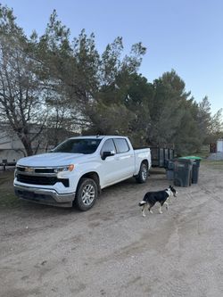 Trash Trailer Pick Up