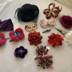 Cute Little Girl Hair clips 