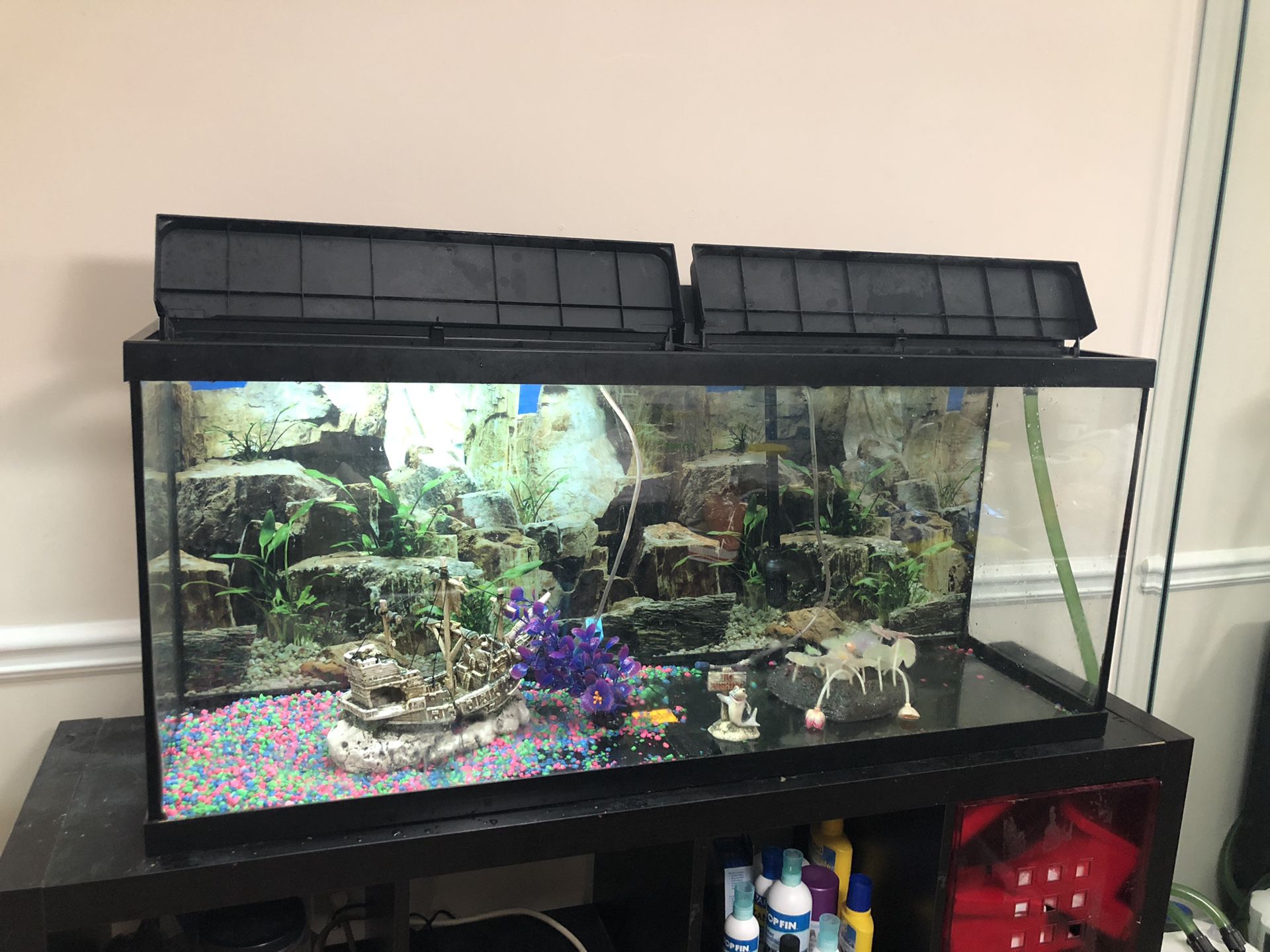 75gallon Fish tank