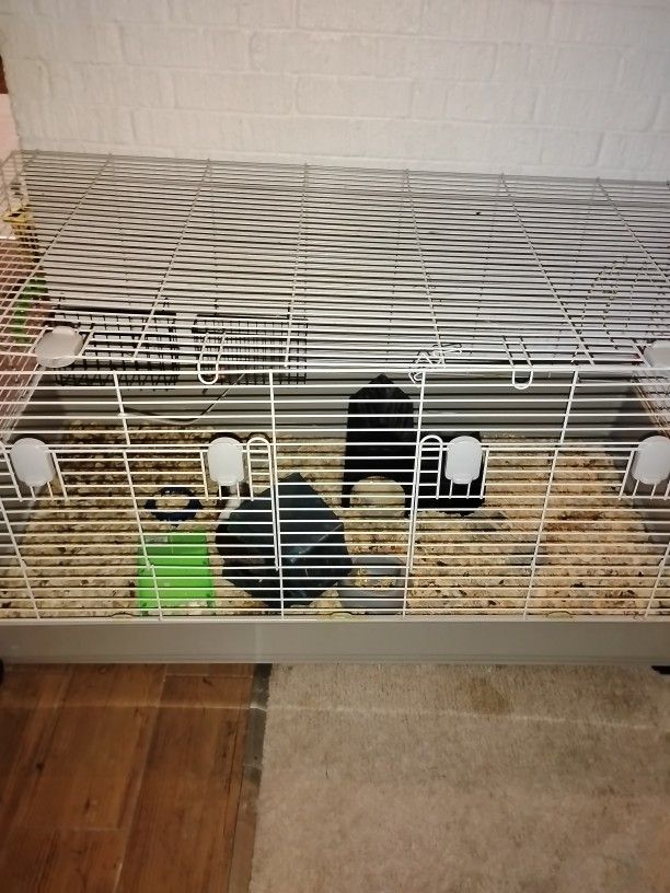 Cage And All