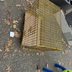 Gold Dog Crate 