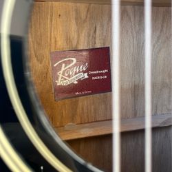 Rogue Acoustic Electric Guitar