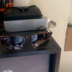 Brand New Ray-Band Sunglasses