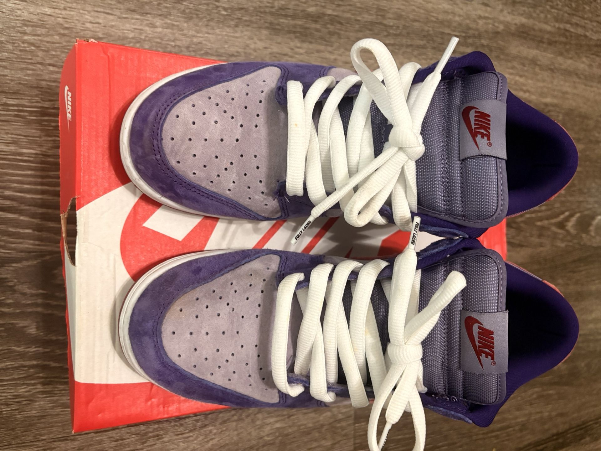 Nike Dunk Low Retro Vol. 1 SP “PLUM