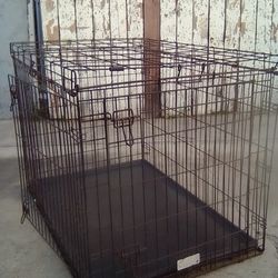 BIG DOG KENNEL
