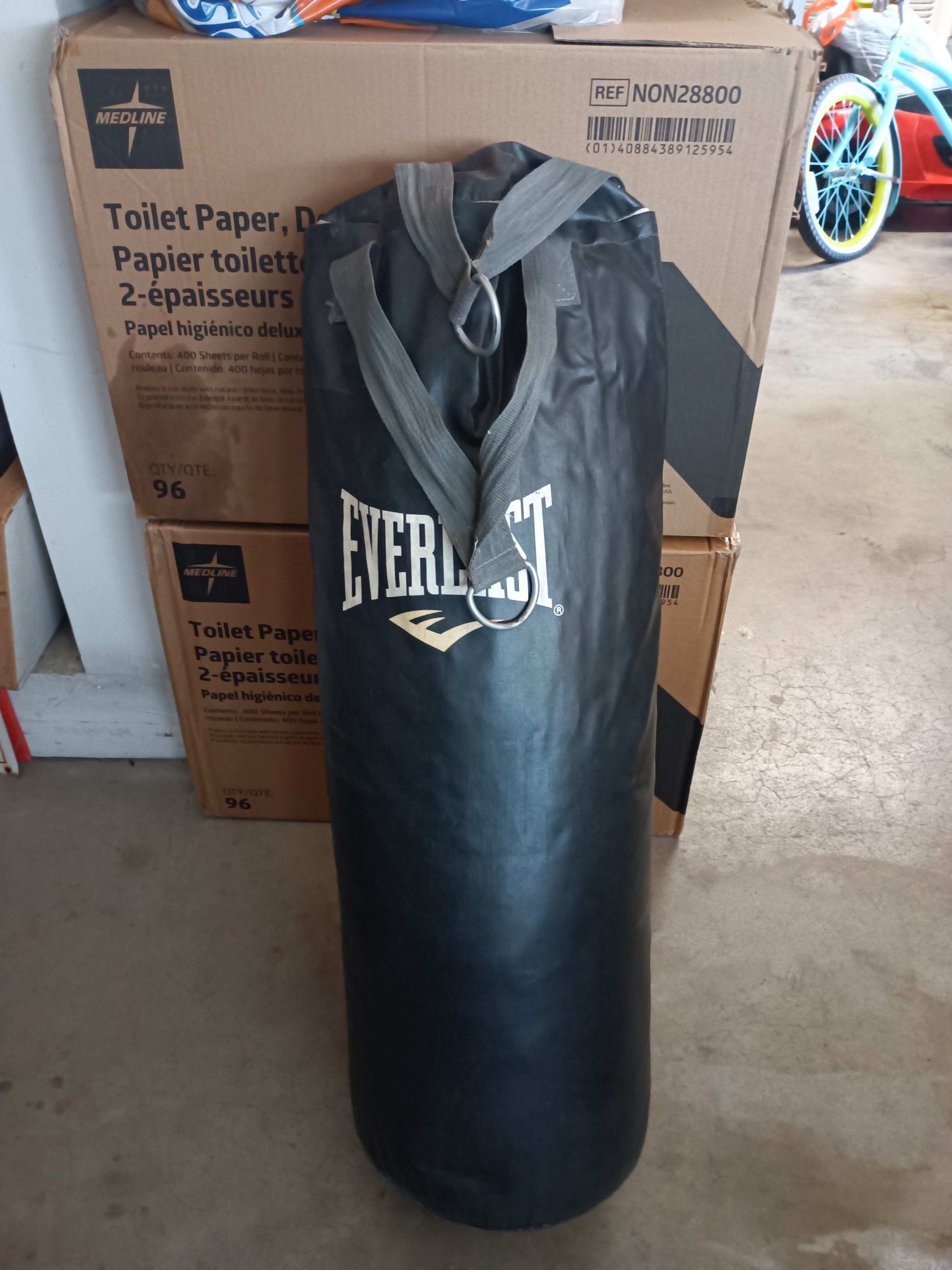 Everlast Punching Bag 