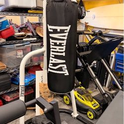 Everlast Powercore Dual Bag & Stand (2023) — $80.00