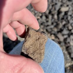 West African Chondrite  Meteorite