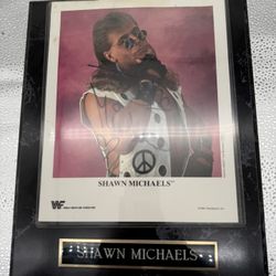 WWF SHAWN MICHAELS SIGNED 1994 8X10 P-212 PROMO PHOTO PLAQUE LINDA MCMAHON COA